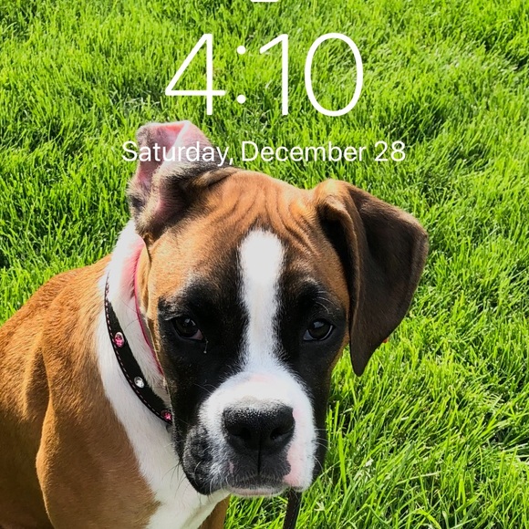 Profile Picture of Jenna Ealy (@je7787jb) on Poshmark