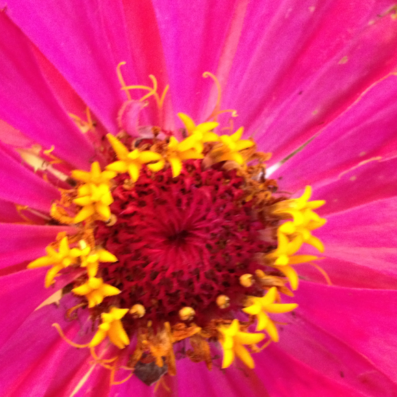 Barbara Forkum - Poshmark Profile Picture of Barbara Forkum (@bjforkum) on Poshmark