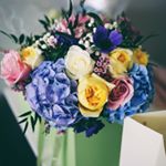 Profile Picture of Wilde Jasmine (@wildejasmineflowers) on Instagram