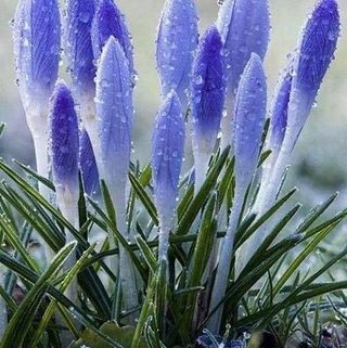 Profile Picture of Josephine Chaney (@josephine.chaney.5) on Facebook