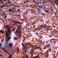 Profile Picture of Greg Masters (@greg-masters-8) on Quora