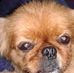 Profile Picture of Barry Book (@barry.book.33) on Facebook