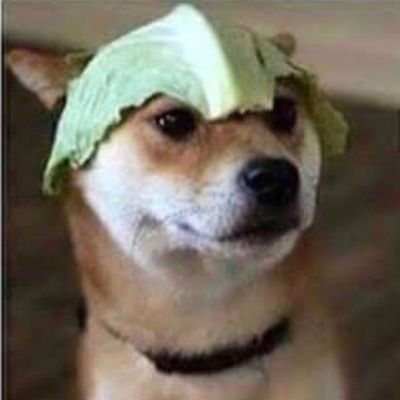 Profile Picture of Colin Leahy (@ColinLeahy20) on Twitter