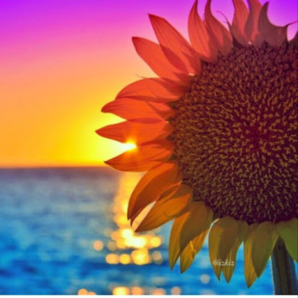 Profile Picture of Isis Sanchez (@isiscarolina89) on Poshmark