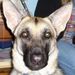Profile Picture of Kylee Lundberg (@kycounty30) on Pinterest