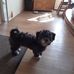 Profile Picture of Heinz Stein (@heinz.stein.9) on Facebook