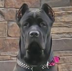 Michael Santo LaPorta - Facebook Profile Picture of Michael Santo LaPorta (@michael.s.laporta) on Facebook