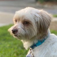 Profile Picture of Rebecca Kandel-scott (@rebecca-kandel-scott) on Quora