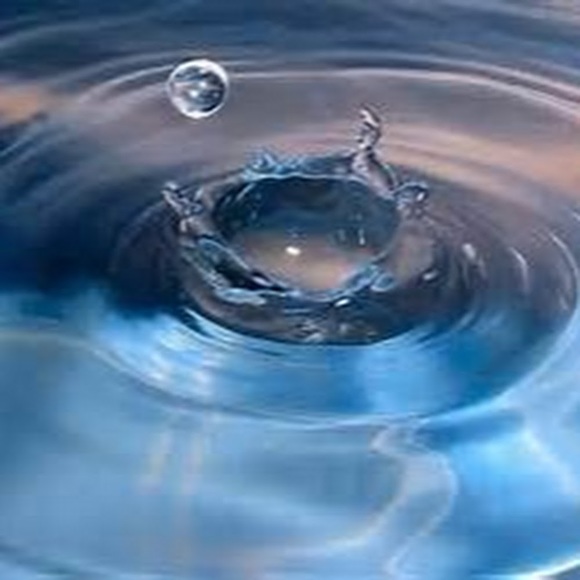 Profile Picture of Penny Torry (@ptorry302) on Poshmark