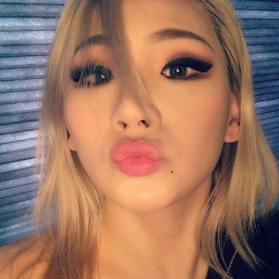 Profile Picture of Rosa Lu (@renarosa_) on Twitter