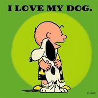 Profile Picture of Ralph Williams (@boorcw) on Pinterest