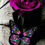 Profile Picture of Kinsey Carroll (@kinsey.carroll.129) on Instagram