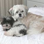 Profile Picture of Bruce Hutton (@bruce.hutton.3) on Instagram