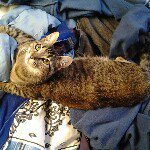 Profile Picture of ivansaenzivan (@ivansaenzivan) on Instagram