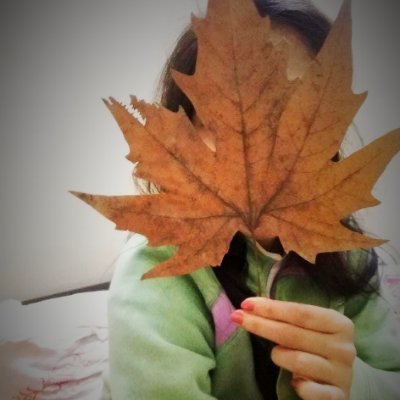 Profile Picture of Saheba (@o_saheba) on Twitter