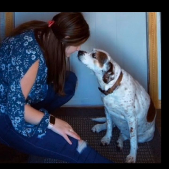 Profile Picture of Kallie🏎🏁❤️ (@ahh.its.kallie) on Tiktok