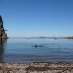 Profile Picture of Marc Seligson (@marcseligson) on Instagram