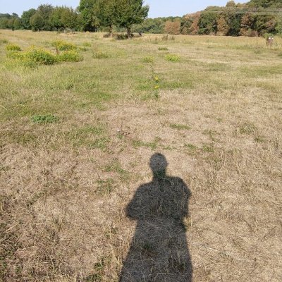 Profile Picture of Ron Winkler (@rowi91) on Twitter