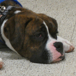 Profile Picture of Geoff Hicks (@gkhicks) on Flickr