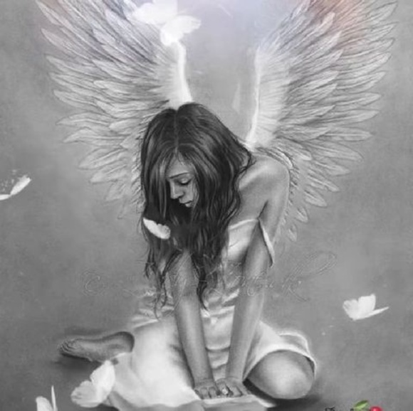 Profile Picture of Phyllis Mitchell (@phyllismitch668) on Poshmark