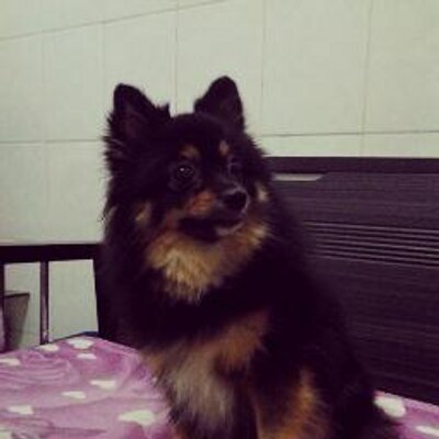 Profile Picture of Ferrel Alexander (@FerrelAlexande1) on Twitter