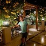 Profile Picture of Michael Wieneke (@michaelwieneke0) on Instagram