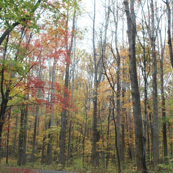 Profile Picture of Jamie Moeller (@jdmoeller) on Poshmark