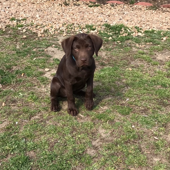 Profile Picture of Abby Milby (@abbyin94) on Poshmark