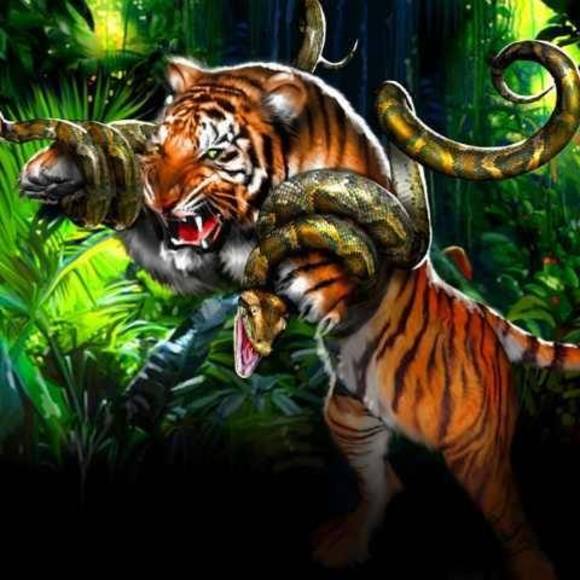 Profile Picture of Phil Manaugh (@tigersoul33) on Poshmark