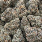 Profile Picture of Bobby Morgan (@jokey_bobby) on Instagram