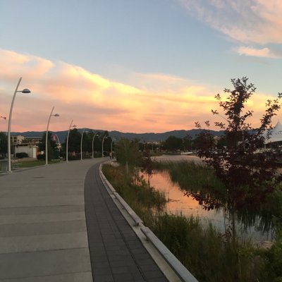 Profile Picture of Cassidy Fiset (@CassidyFiset) on Twitter