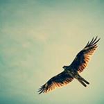 Profile Picture of Jeff Frazer (@jeff.frazer) on Instagram