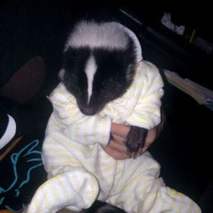 Profile Picture of Clare Hoffman (@clare.hoffman.18) on Facebook