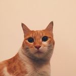 Profile Picture of Joanna Singh Sisodia (@joannameowsisodia) on Instagram