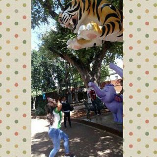 Profile Picture of Angelina Barceló Gamboa (@Angie.Barcelo.Gamboa) on Facebook