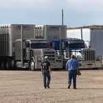 Profile Picture of tanner knight (@tknight1385) on Instagram