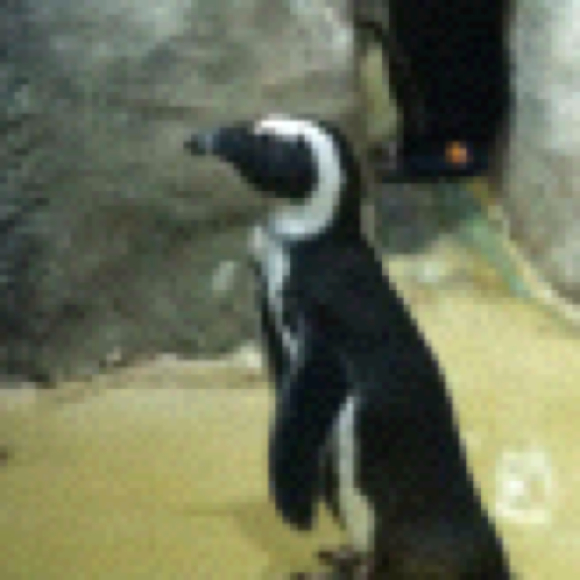 Profile Picture of Krystal Cersosimo (@kcersos19) on Poshmark