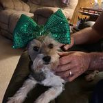 Profile Picture of Dawn Mike Jarnigan (@mikedawn.08) on Instagram