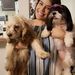 Profile Picture of Marcela Ledezma (@marcyledez) on Pinterest