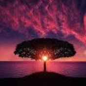 Profile Picture of C Edwards (@cedwards9740) on Youtube