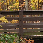 Profile Picture of Brad Blankenship (@bblankenship2719) on Flickr