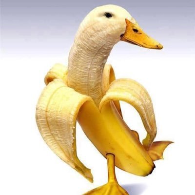 Profile Picture of Greg The Banana Duck (@greg90009749) on Twitter