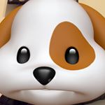 Profile Picture of Andy (@andyastoria_6) on Instagram