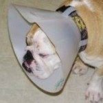 Profile Picture of Lori Hurlburt Turner (@turner_lori) on Instagram