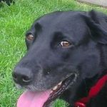 Profile Picture of Joanne Horton (@horton8507) on Instagram