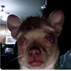 Profile Picture of Christopher Angil (@christopher.angil) on Facebook