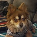 Profile Picture of Paula Clemons (@paula.clemons.77) on Instagram