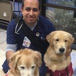 Profile Picture of Ihab Hanna (@ihabhanna) on Instagram