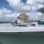 Profile Picture of Jillian McMillan (@jillian.mcmillan) on Instagram