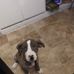 Profile Picture of Donald Kilgore (@donald.kilgore.353) on Facebook